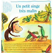 Un petit singe très malin